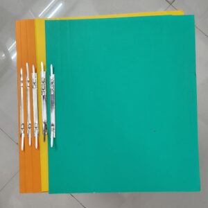 FILE NO. 1 (REGULAR CLIP FILE)